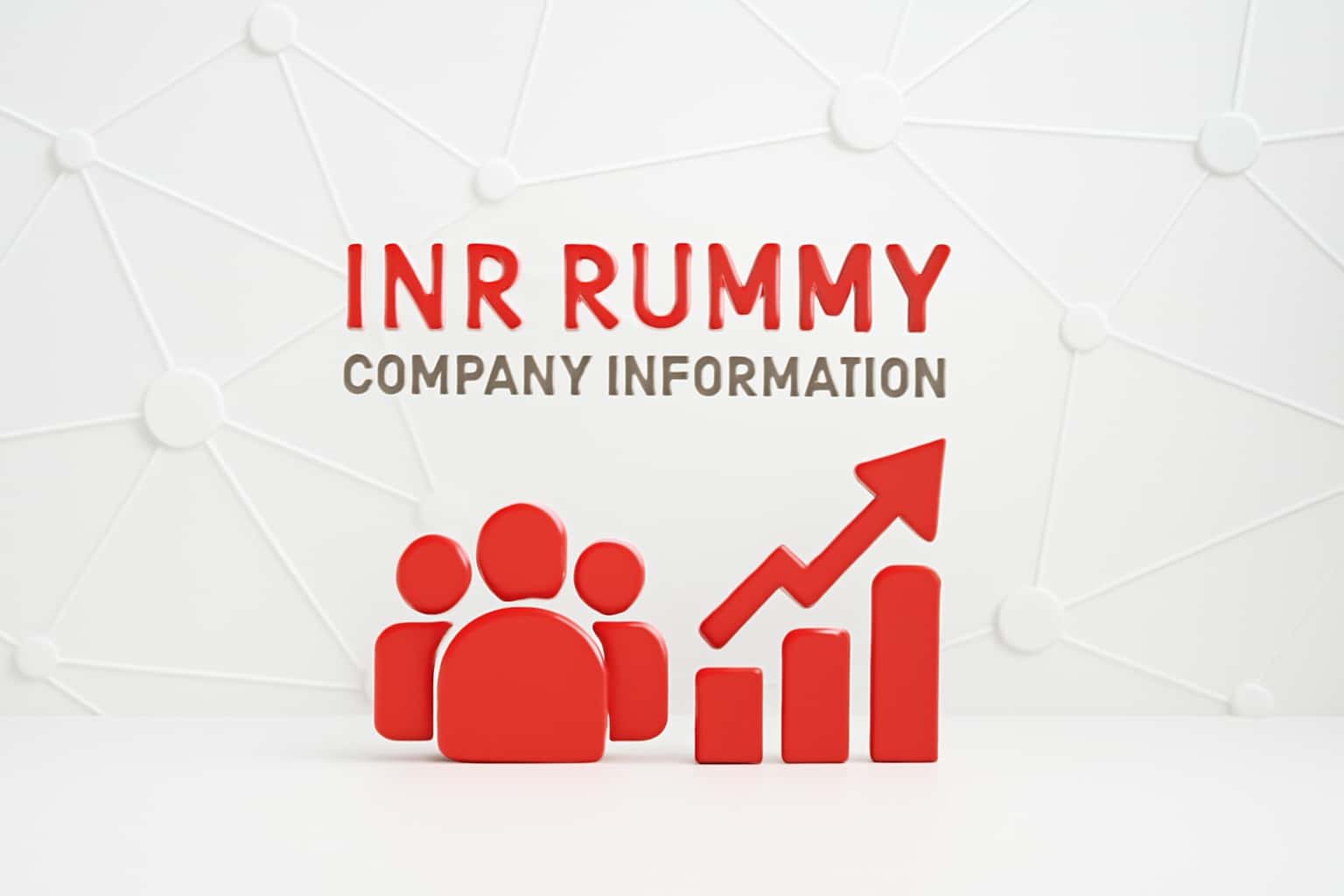 INR Rummy Company Information Interface